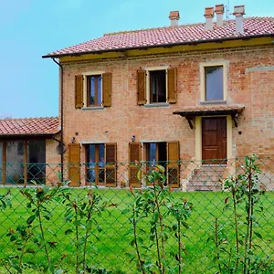 Chicco Di Grano Foiano Della Chiana