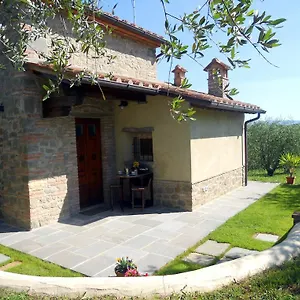 Selva Degli Ulivi Foiano Della Chiana